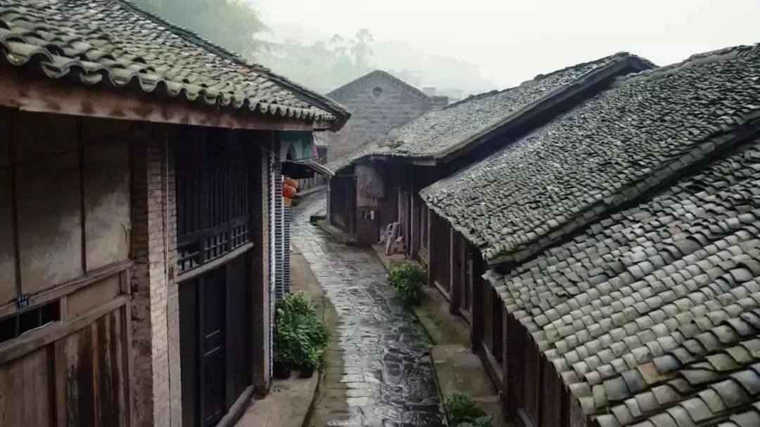 热血NBA万圣节篇